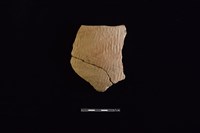 陶缽藏品圖，第1張